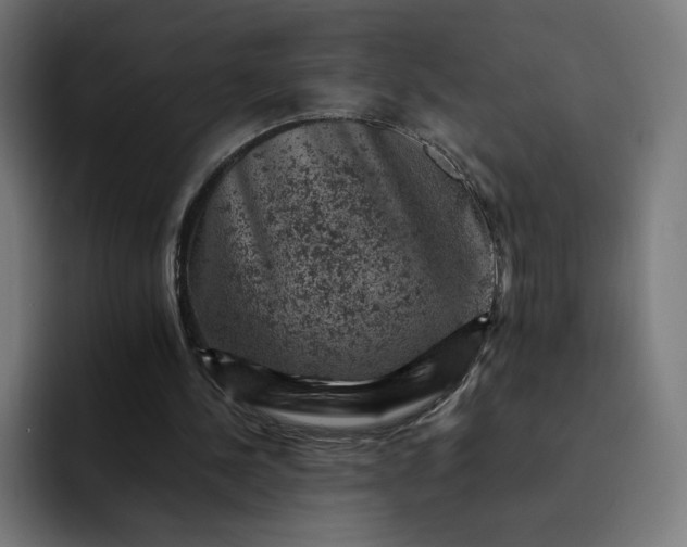 X0000093170244200710101218