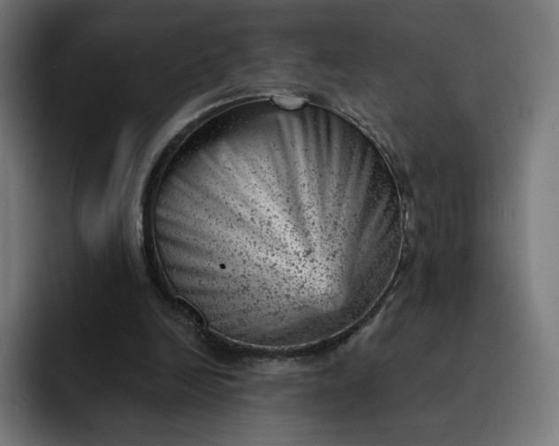 X0000093170246200710101218