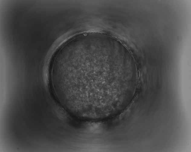 X0000093170247200710101218