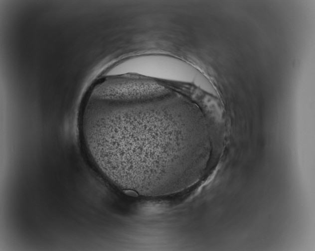 X0000093170248200710101218