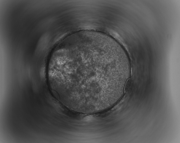 X0000093170249200710101218