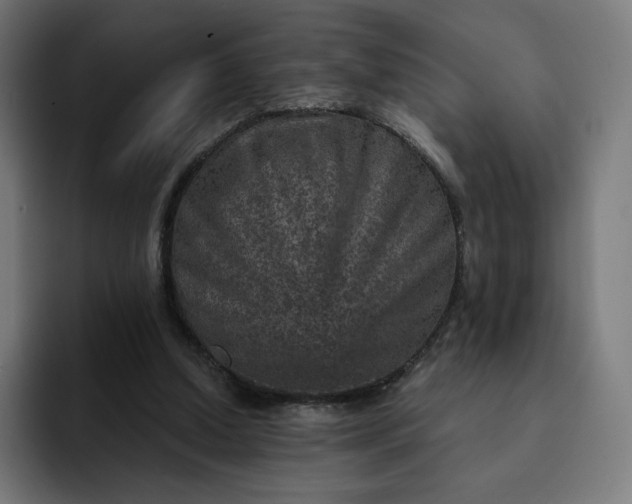 X0000093170250200710101218