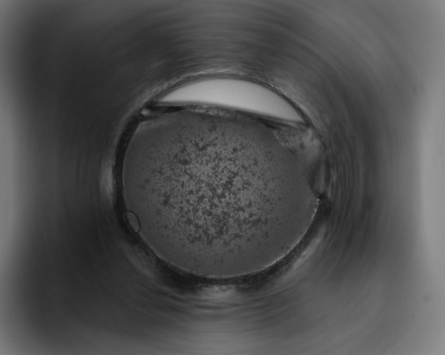X0000093170252200710101218
