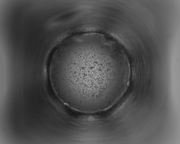 X0000093170254200710101218