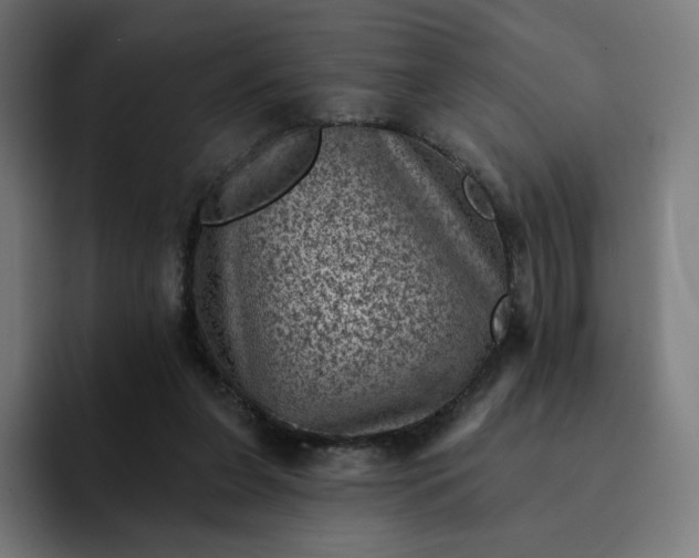 X0000093170255200710101218