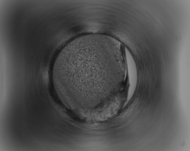 X0000093170256200710101218
