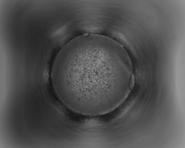 X0000093170259200710101218