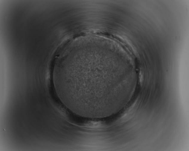 X0000093170260200710101218