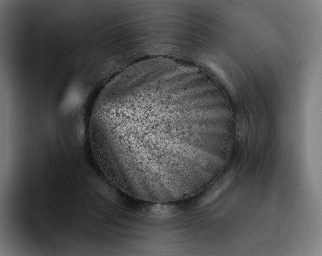 X0000093170261200710101218