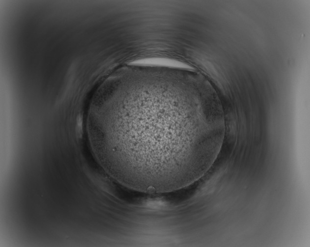 X0000093170262200710101218
