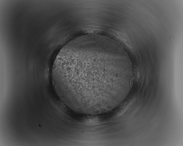X0000093170263200710101218