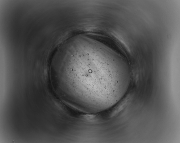 X0000093170265200710101218