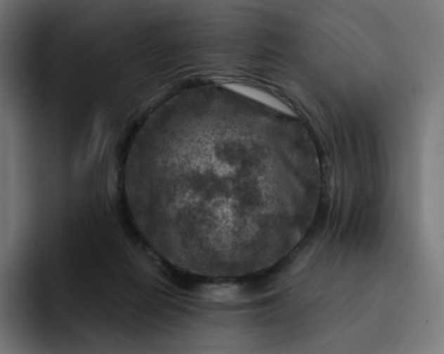 X0000093170266200710101218