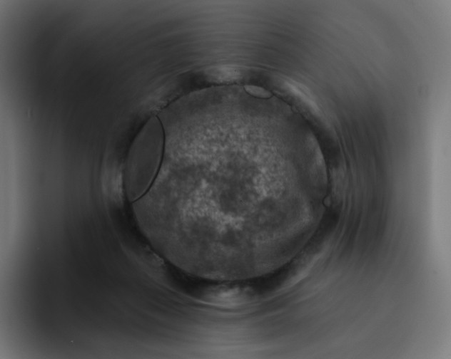 X0000093170267200710101218