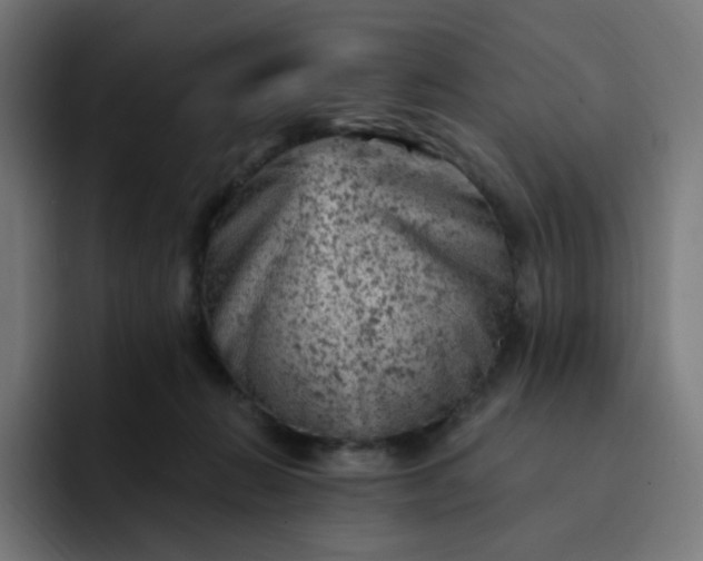 X0000093170270200710101218