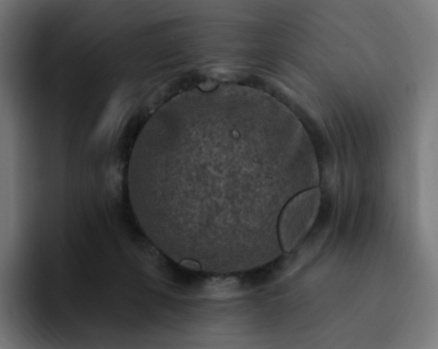 X0000093170271200710101218