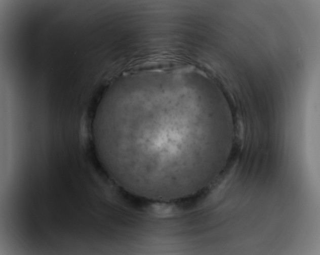 X0000093170272200710101218