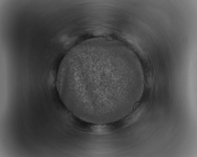 X0000093170273200710101218