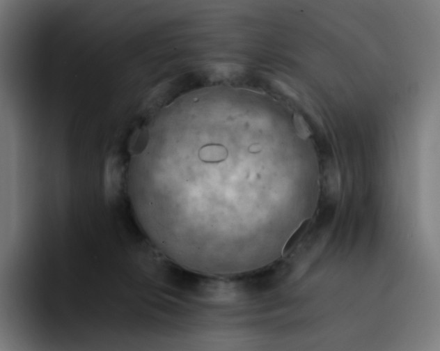 X0000093170276200710101218