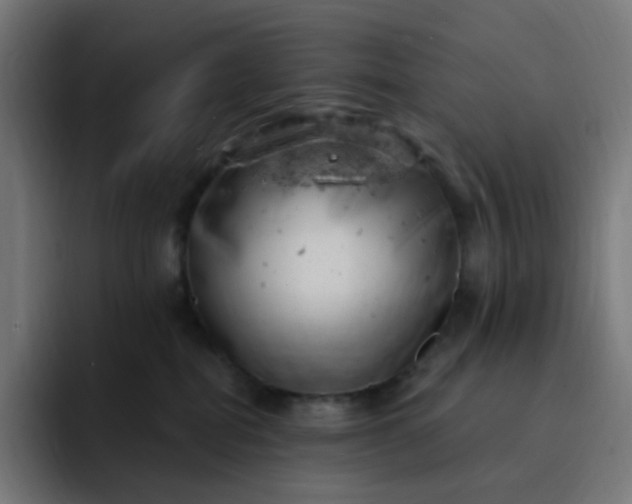 X0000093170282200710101218