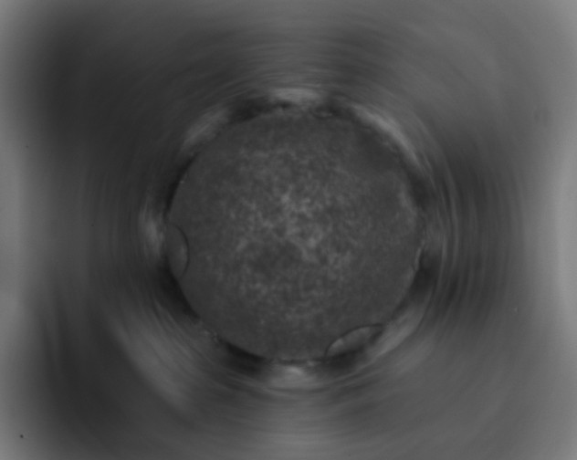 X0000093170285200710101218