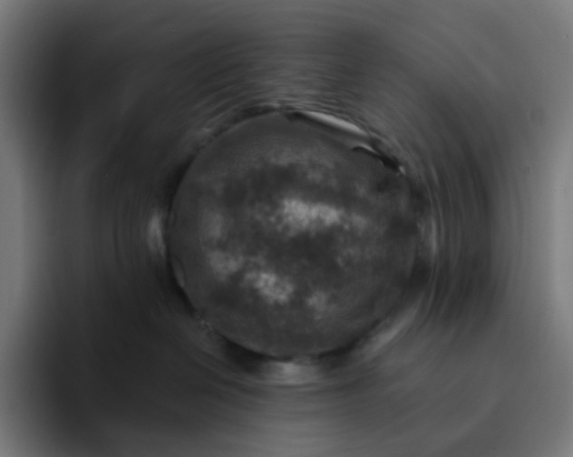 X0000093170286200710101218