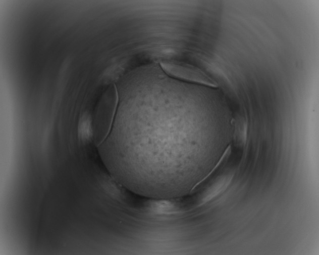 X0000093170287200710101218