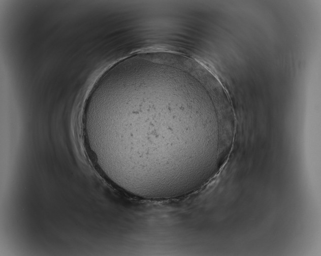 X0000093170289200710101218