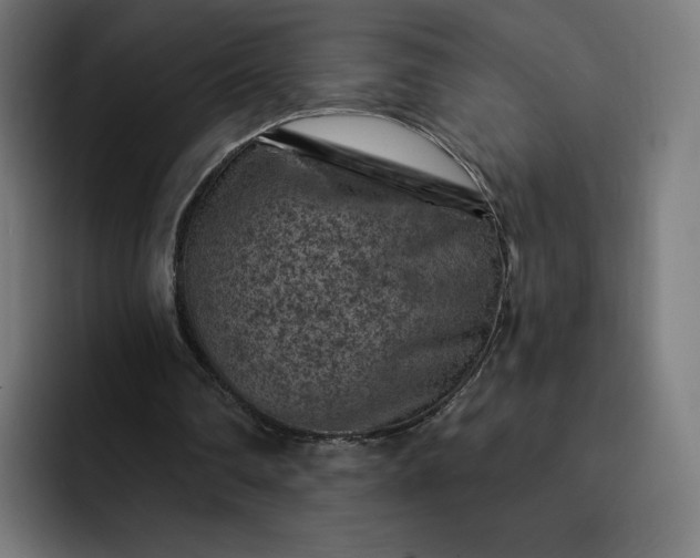 X0000093170290200710101218