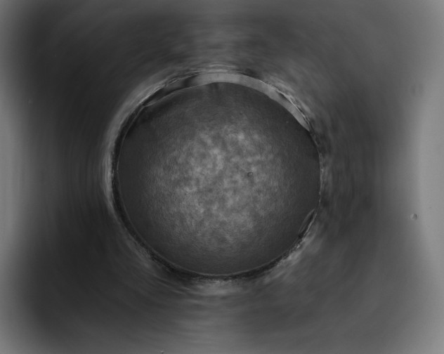 X0000093170293200710101217