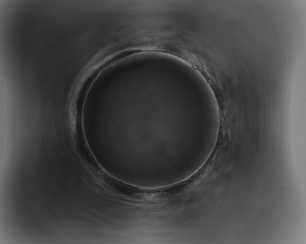 X0000093170295200710101217