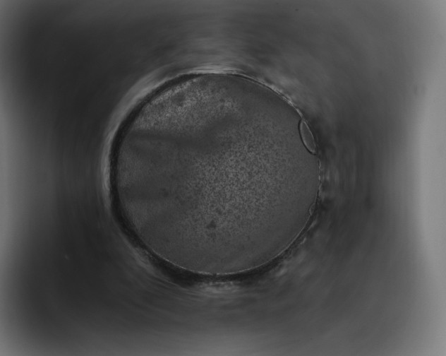 X0000093170296200710101217