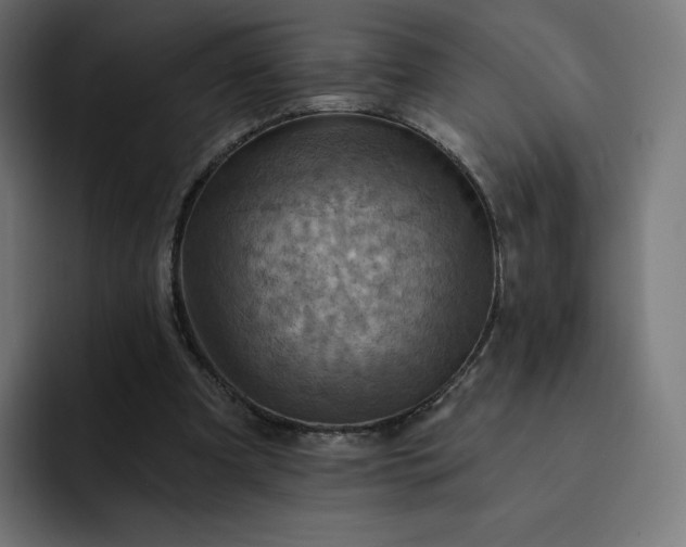 X0000093170297200710101217