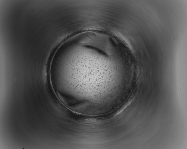X0000093170298200710101217