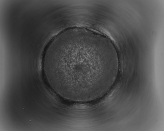 X0000093170299200710101217