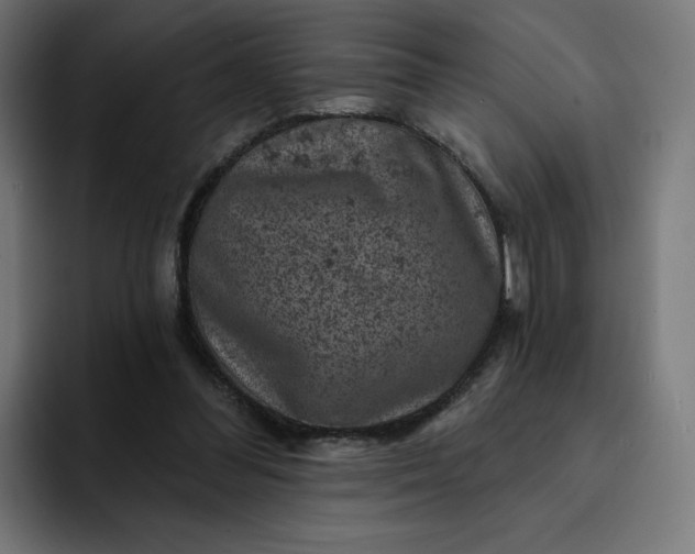 X0000093170300200710101217