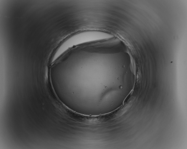 X0000093170301200710101217