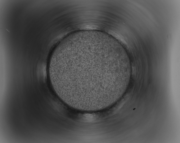 X0000093170302200710101217