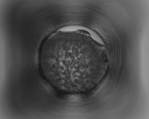 X0000093170303200710101217