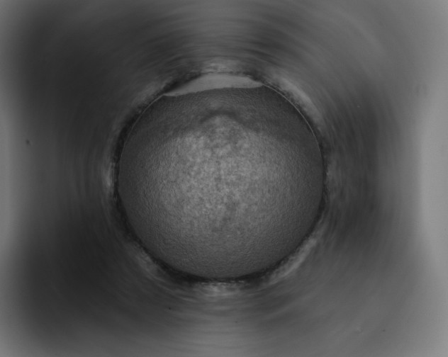 X0000093170305200710101217