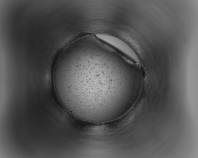 X0000093170306200710101217