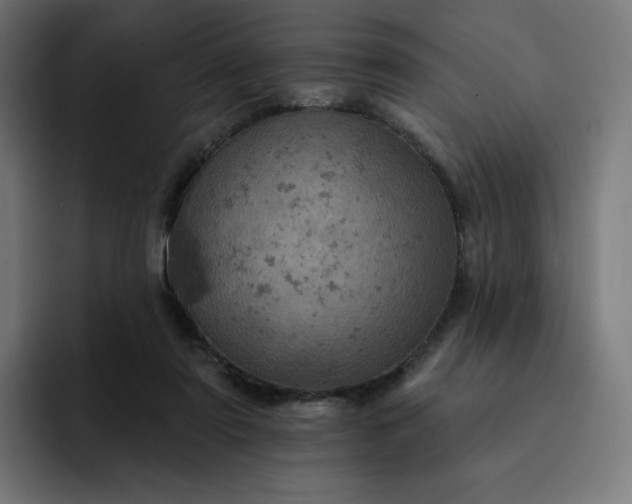 X0000093170307200710101217