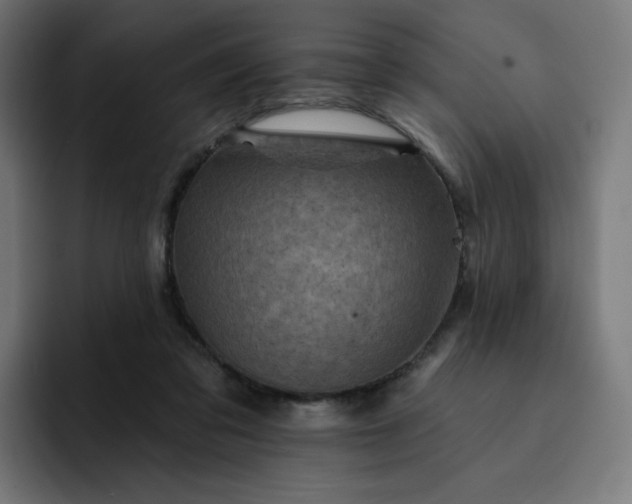 X0000093170309200710101217