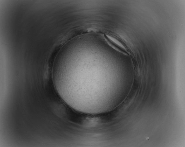 X0000093170311200710101217