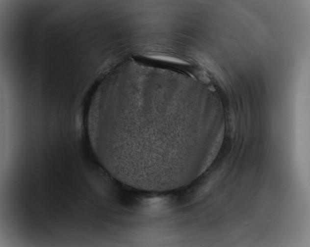 X0000093170312200710101217