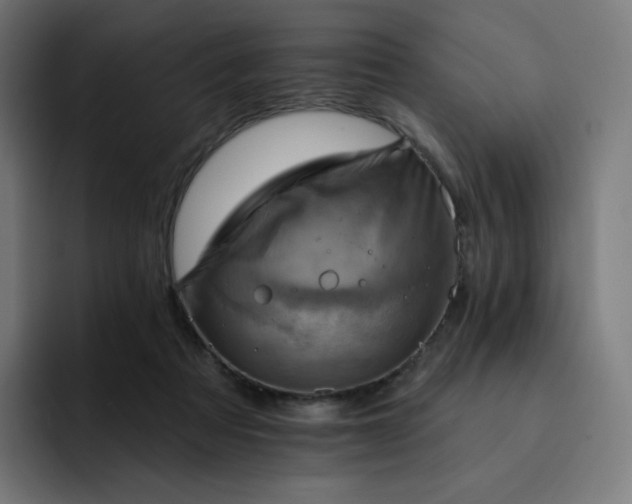 X0000093170313200710101217