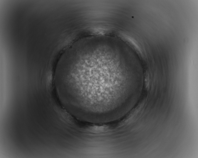 X0000093170314200710101217