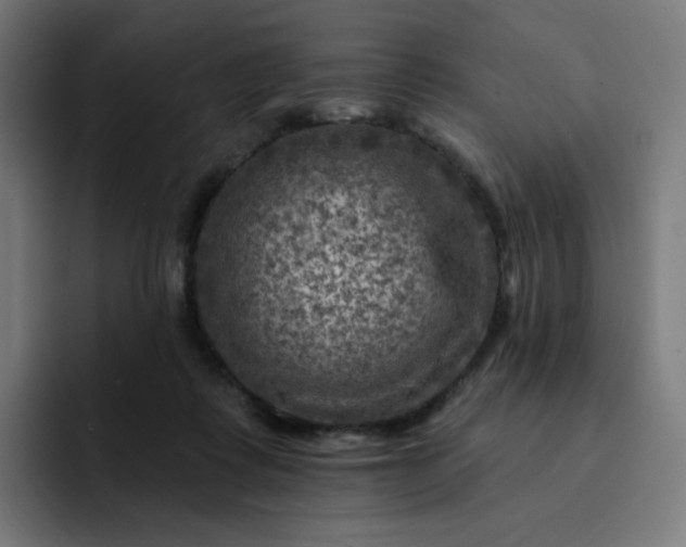 X0000093170315200710101217