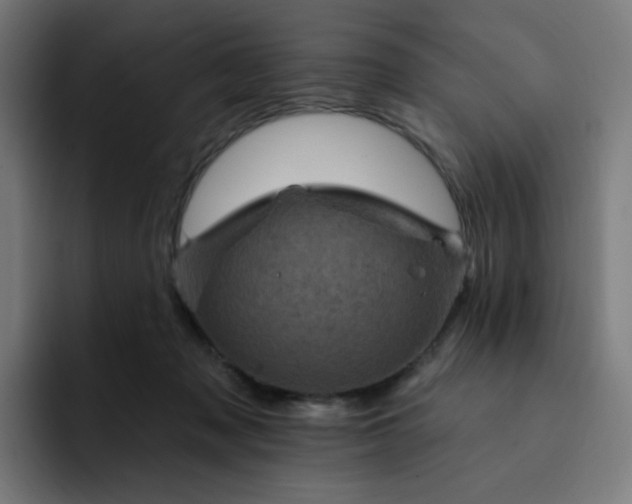 X0000093170317200710101217