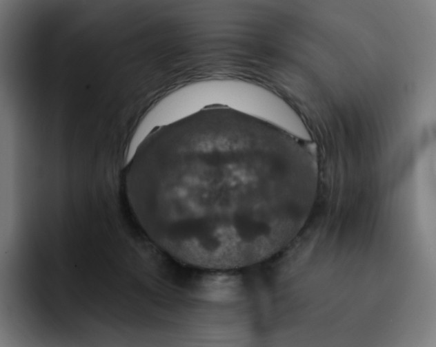 X0000093170319200710101217